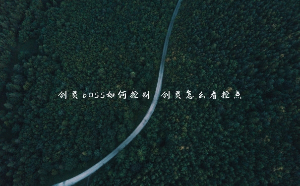 剑灵boss如何控制 剑灵怎么看控点