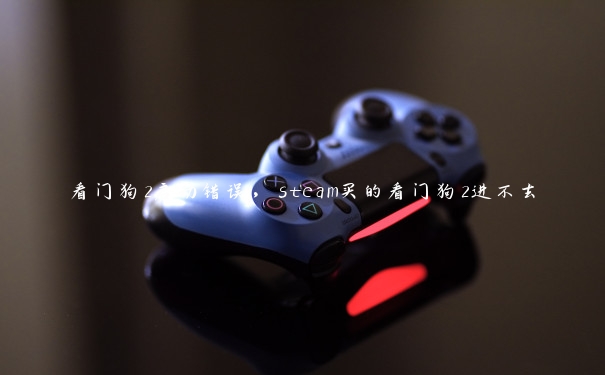 看门狗2启动错误，steam买的看门狗2进不去