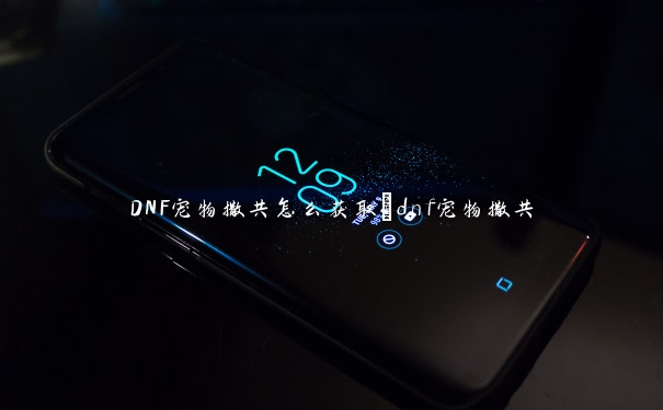 DNF宠物撒共怎么获取_dnf宠物撒共