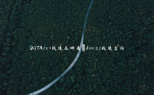 DOTA2ti战绩在哪看_dota2战绩查询