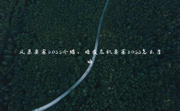 风暴要塞boss介绍，暗夜危机要塞boss怎么召唤