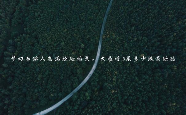 梦幻西游人物满经验场景，大雁塔6层多少级满经验