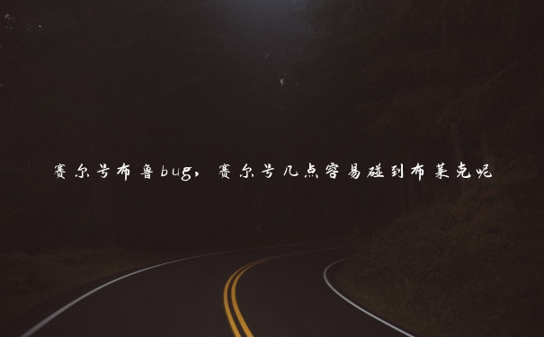 赛尔号布鲁bug，赛尔号几点容易碰到布莱克呢