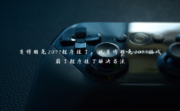 赛博朋克2077程序挂了，玩赛博朋克2077游戏崩了程序挂了解决方法