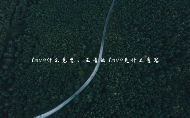 fmvp什么意思，王者的fmvp是什么意思