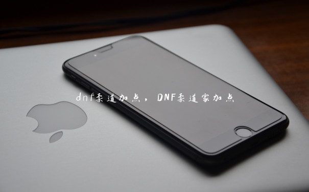 dnf柔道加点，DNF柔道家加点