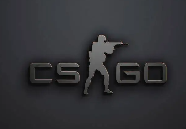 CSGO暴躁妹妹与LOGO对比：2024年最新对比分析